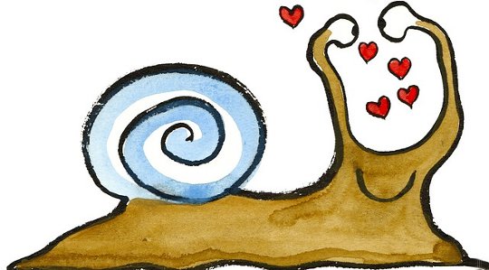 Love Yourself Madly: Debunking the “I Am Not Enough” Fallacy Love Yourself Madly: Debunking the “I Am Not Enough” Fallacy