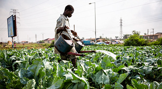 urban farming4 5 21