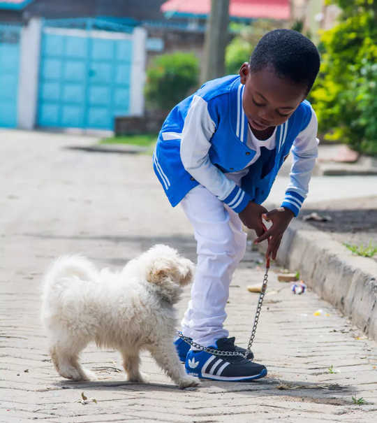 Are You Walking Your Dog Enough?