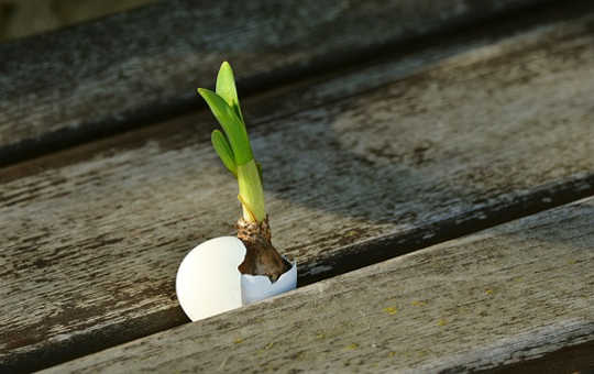 The Best Rejection: A New Path, A New Direction, and The Real You The Best Rejection: A New Path, A New Direction, and The Real You