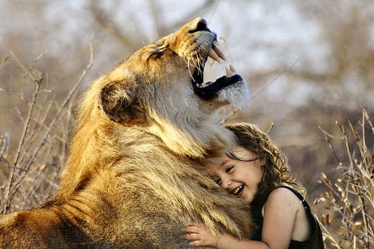 A Happy Outcome is Assured: One Day, Only Love Will Remain A Happy Outcome is Assured: One Day, Only Love Will Remain