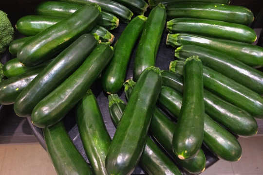 How Are Zucchini, Weeds, and Negative Thoughts Alike? How Are Zucchini, Weeds, and Negative Thoughts Alike?
