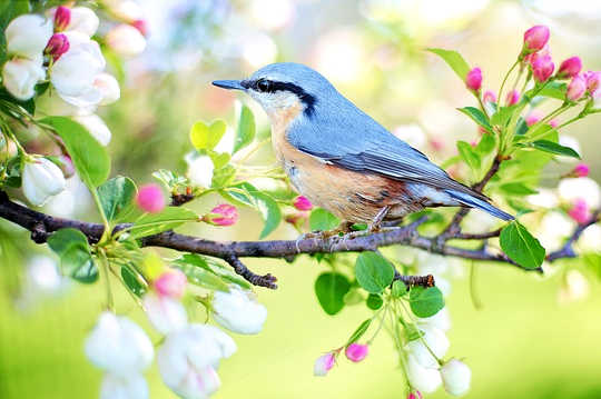 Six Simple Ways To Become More Centered, Awake, and Peaceful in Your Daily Life Six Simple Ways To Become More Centered, Awake, and Peaceful in Your Daily Life