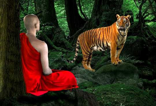 Rebirth: Love Will Replace Fear