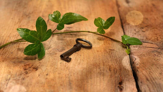 The Three Principal Causes of Disease photo of a key and a vine