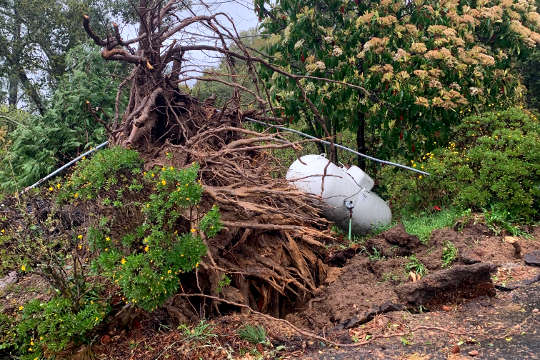 huge tree feelled by the storm and propane tank resting at an angle partly in the air.