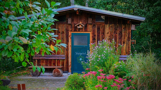 An Invitation into the Magical World of Interacting with Plants a small wooden house in a garden