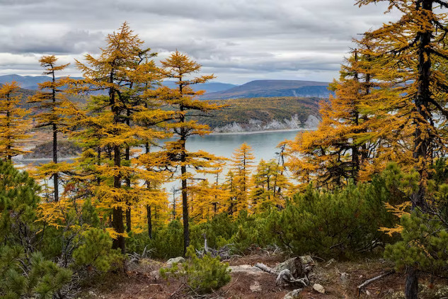 climate change and the seasons2 10 25