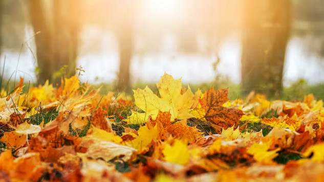 climate change and the seasons3 10 25