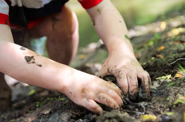 The Unseen Life of Soil: How Tiny Creatures Support Our World hands working in the soil
