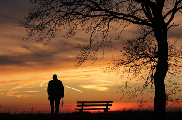 A man standing outside at sunset under a tree.&nbsp;Image from Pixabay.&nbsp;