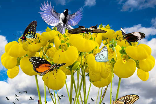 10 04 how life ordeals can be used as chrysalis crises
