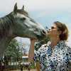 Horses and the Mystical Path