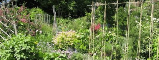 10 Steps to Starting a Community Garden by Peter Ladner 10 Steps to Starting a Community Garden by Peter Ladner